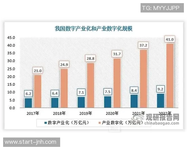 足球产业发展现状与未来趋势深度分析报告